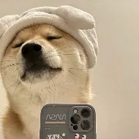 缓存一致性解决方案